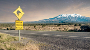 Neuseeland Schild Kiwi Crossing Vulkan Ruapehu Tongariro National Park Foto iStock Erik_V.jpg